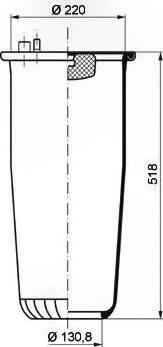 PE Automotive 084.250-70A - Burduf, suspensie pneumatica aaoparts.ro