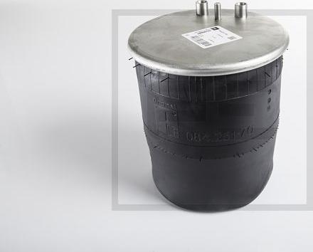 PE Automotive 08425170A - Burduf, suspensie pneumatica aaoparts.ro