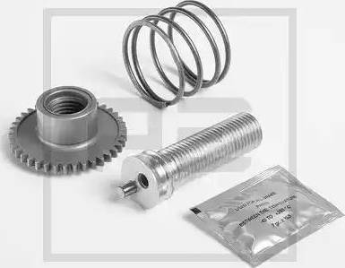 PE Automotive 266.731-00A - Set reparatie, etrier aaoparts.ro