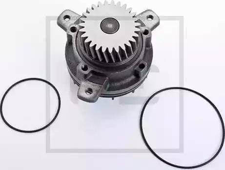 PE Automotive 250.030-00A - Pompa apa aaoparts.ro
