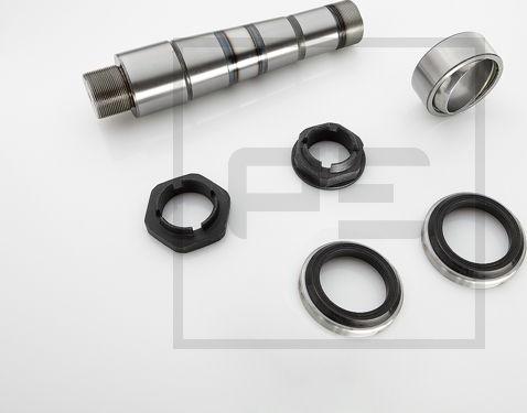 PE Automotive 141.138-00A - Set reparatie, pivot aaoparts.ro