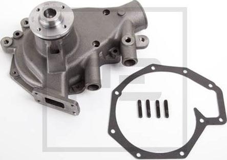 PE Automotive 100.152-00A - Pompa apa aaoparts.ro