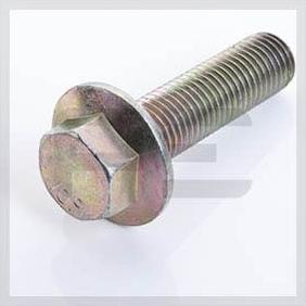 PE Automotive 100.204-00A - Surub volanta aaoparts.ro