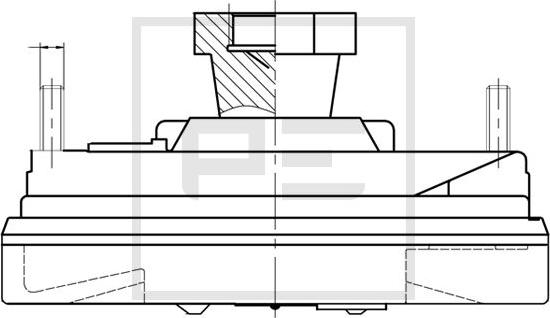 PE Automotive 100.235-00A - Cupla, ventilator radiator aaoparts.ro