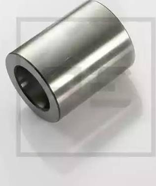 PE Automotive 10100300A - Bucsa, bolt articulatie ax aaoparts.ro