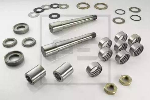 PE Automotive 101.024-00A - Set reparatie, pivot aaoparts.ro