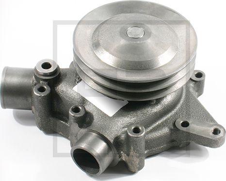 PE Automotive 250.039.00A - Pompa apa aaoparts.ro