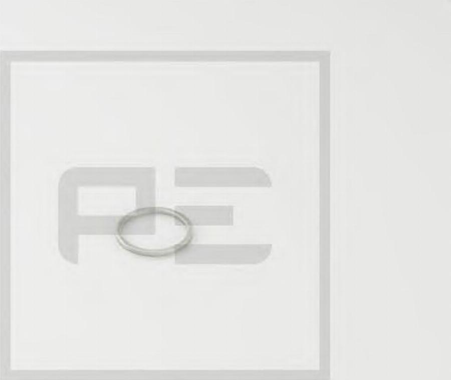 PE Automotive 03115700A - Inel etansare, surub drena ulei aaoparts.ro