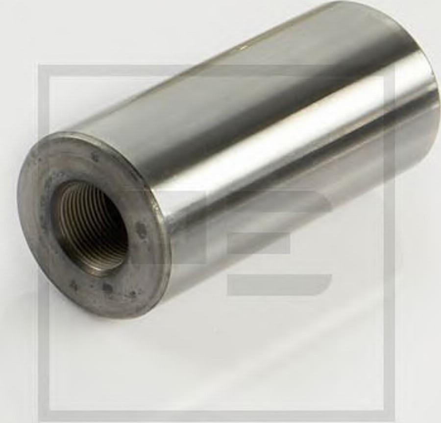 PE Automotive 03133100A - Set reparatie, pivot aaoparts.ro
