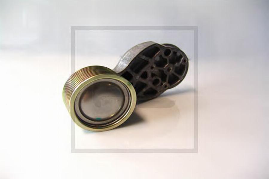 PE Automotive 25002100A - Rola ghidare / conducere, curea transmisie aaoparts.ro