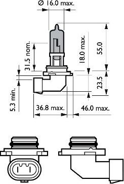 PHILIPS 9005WVUB1 - Bec, far faza lunga aaoparts.ro