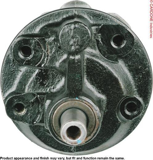 Pika 100-2690 - Pompa hidraulica, sistem de directie aaoparts.ro