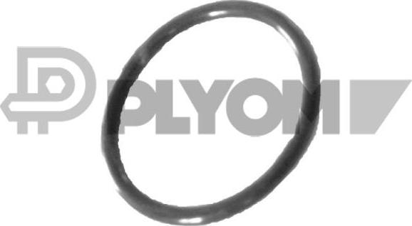 PLYOM P758519 - Garnitura,conducta lichid de racire aaoparts.ro