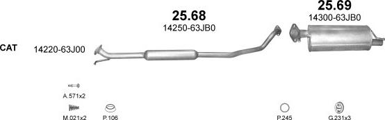 Polmo POLMO00169 - Sistem de esapament aaoparts.ro