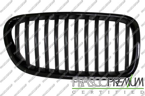 Prasco BM0482004 - Grila radiator aaoparts.ro