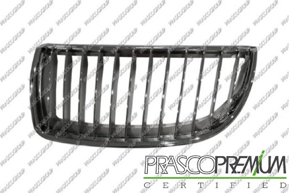 Prasco BM0242004 - Grila radiator aaoparts.ro