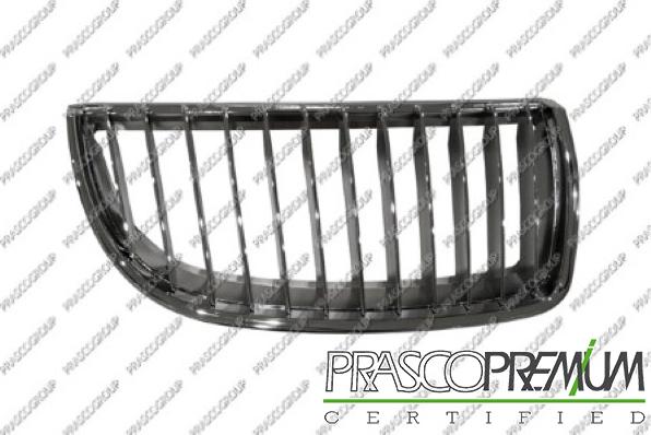 Prasco BM0242003 - Grila radiator aaoparts.ro