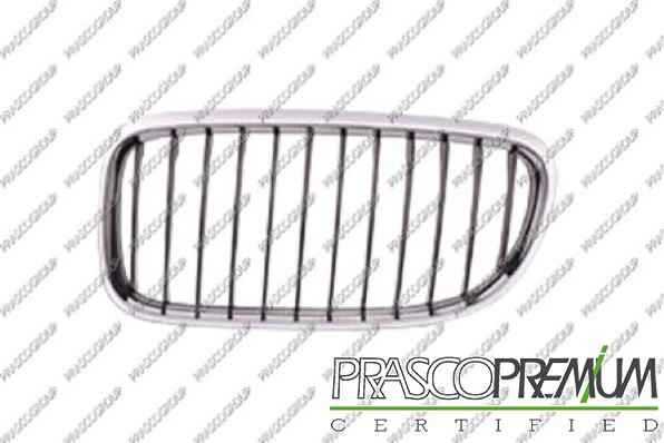 Prasco BM0262004 - Grila radiator aaoparts.ro