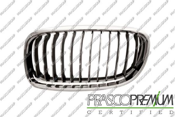 Prasco BM0262014 - Grila radiator aaoparts.ro