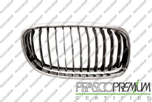 Prasco BM0262013 - Grila radiator aaoparts.ro