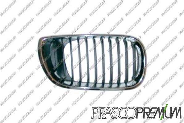 Prasco BM0202003 - Grila radiator aaoparts.ro