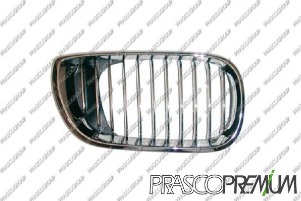 Prasco BM0202013 - Grila radiator aaoparts.ro