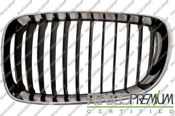 Prasco BM1212004 - Grila radiator aaoparts.ro