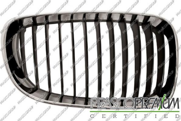 Prasco BM1212003 - Grila radiator aaoparts.ro