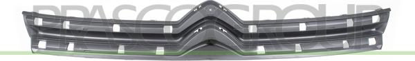 Prasco CI9442001 - Grila radiator aaoparts.ro