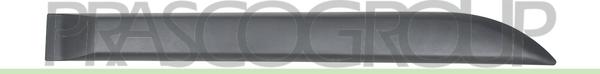 Prasco DA3241453 - Elemente decorative / protectie, portiera aaoparts.ro
