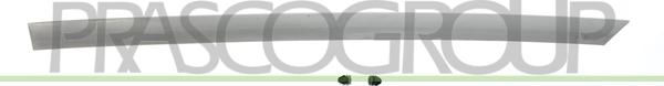 Prasco DA3241464 - Elemente decorative / protectie, portiera aaoparts.ro