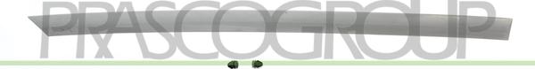 Prasco DA3241463 - Elemente decorative / protectie, portiera aaoparts.ro
