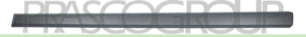 Prasco DA3241413 - Elemente decorative / protectie, portiera aaoparts.ro
