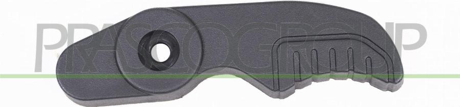 Prasco FD9138311 - Maner usa aaoparts.ro