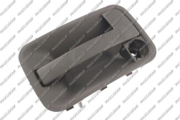 Prasco FT9218102 - Maner usa aaoparts.ro