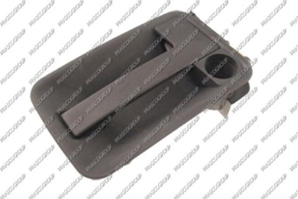 Prasco FT9218301 - Maner usa aaoparts.ro