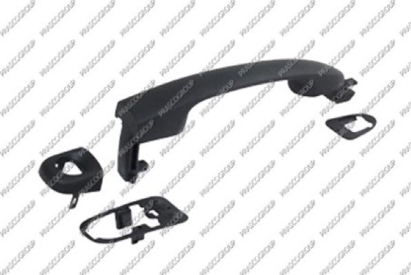 Prasco FT1388004 - Maner usa aaoparts.ro