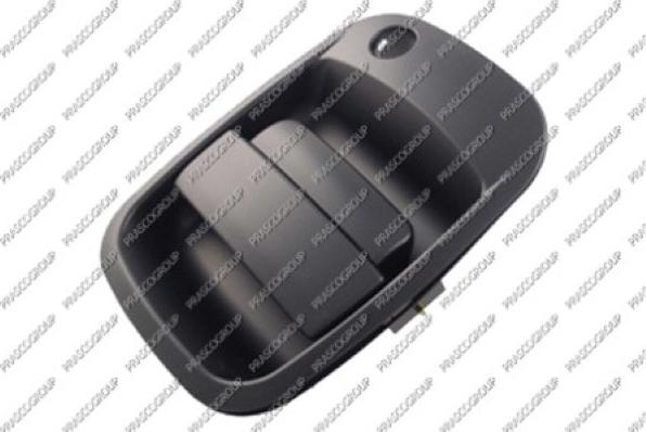 Prasco HN9228131 - Maner usa aaoparts.ro