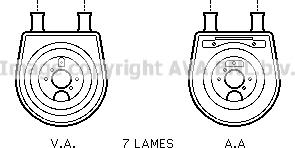 Prasco HY3154 - Radiator ulei, ulei motor aaoparts.ro