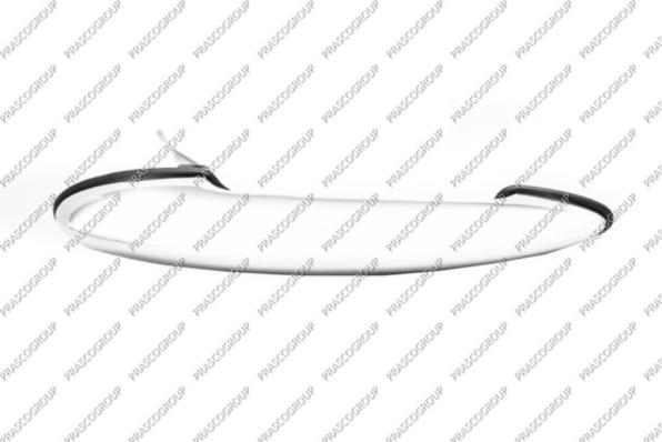 Prasco MN3048005 - Maner usa aaoparts.ro