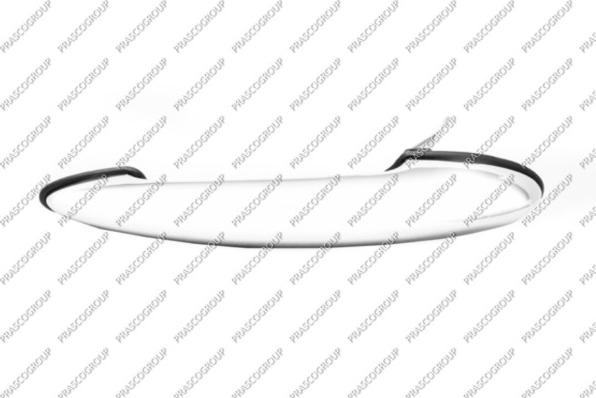 Prasco MN3048006 - Maner usa aaoparts.ro
