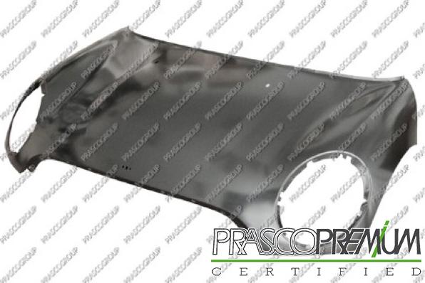 Prasco MN3103130 - Capota motor aaoparts.ro