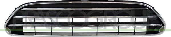 Prasco MN7062001 - Grila radiator aaoparts.ro