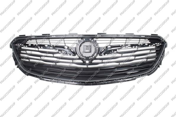 Prasco OP0642001 - Grila radiator aaoparts.ro