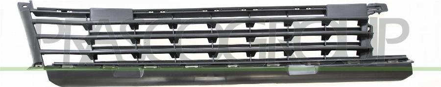 Prasco PG9252120 - Grila ventilatie, bara protectie aaoparts.ro