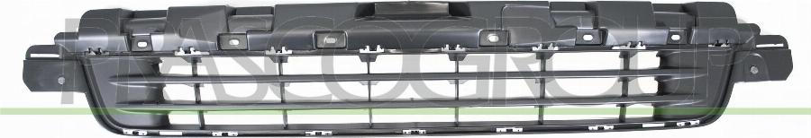Prasco PG9252121 - Grila ventilatie, bara protectie aaoparts.ro