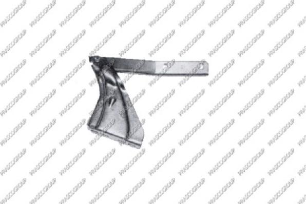 CARRO 010606142 - Balama, capota motor aaoparts.ro