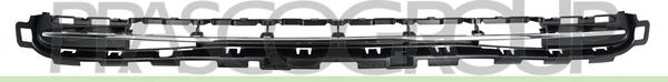 Prasco PG3242121 - Grila ventilatie, bara protectie aaoparts.ro