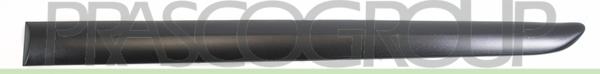 Prasco PG3201454 - Elemente decorative / protectie, portiera aaoparts.ro