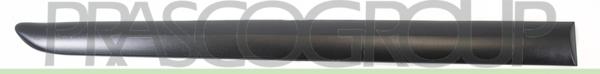 Prasco PG3201453 - Elemente decorative / protectie, portiera aaoparts.ro